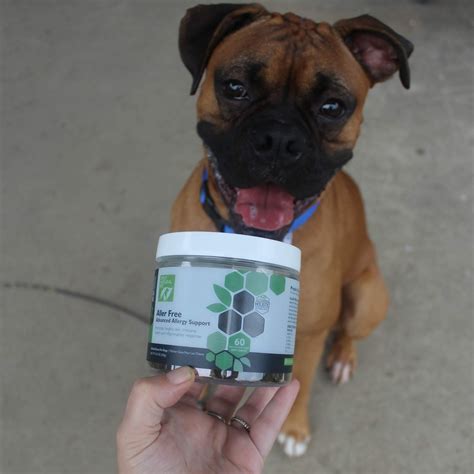 Dog Madness: Attack Those Allergies Holistically