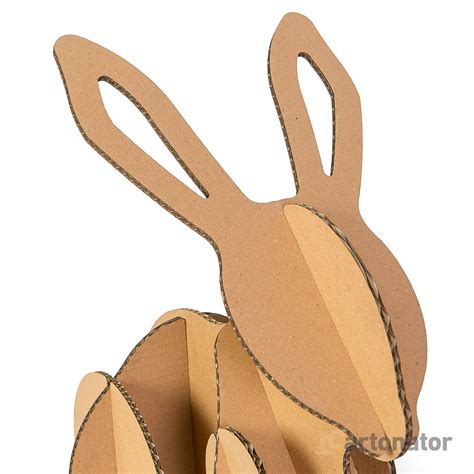 заяц Rabbit