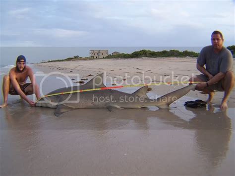 Shark Fishing in South Florida | FLORIDA SHARK FISHING