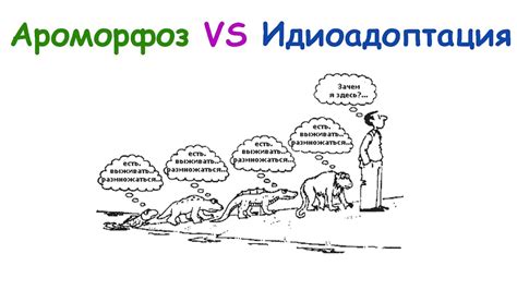Отличаем ароморфоз от идиоадоптации - YouTube