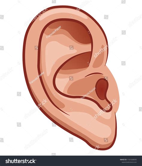 189,247 Cartoon ears Images, Stock Photos & Vectors | Shutterstock