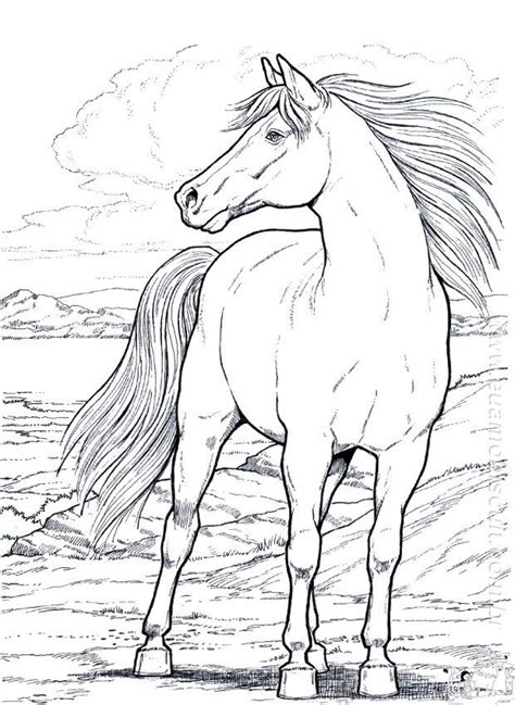 Horse coloring books, Horse coloring pages, Dover coloring pages