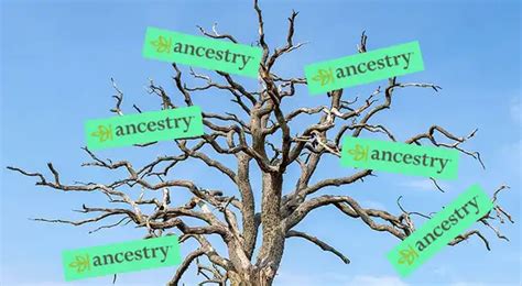 private equity firm bought ancestrycom   heres