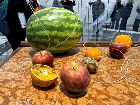 Yuko Mohri: Transforming Plant Fruit Decay into Melody and Meaning