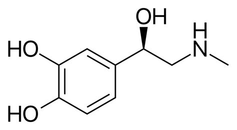 Adrenaline (Epinephrine)- Drug Detail Profile > PharmaCampus