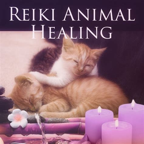 Animals, Reiki, Healing | Animal reiki, Reiki, Pet healing