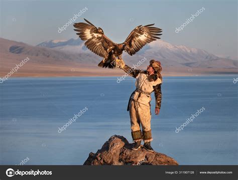 Молодой казахский орлан-охотник с золотым орлом . стоковое фото ©kertu ...