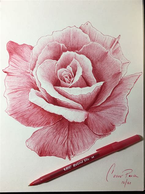 Ballpoint Pen Drawings Of Flowers