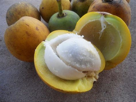 Frutas Da Regiao Norte - Frutas típicas da região Norte estão super caras no Brasil; veja quais são