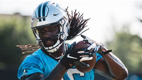 temarrick hemingway working  write   chapter  panthers