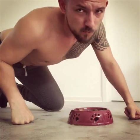 Eating its dinner from a dog bowl - ThisVid.com