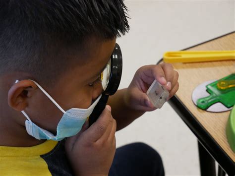 Perspective | New research shows uneven impacts of pandemic on student