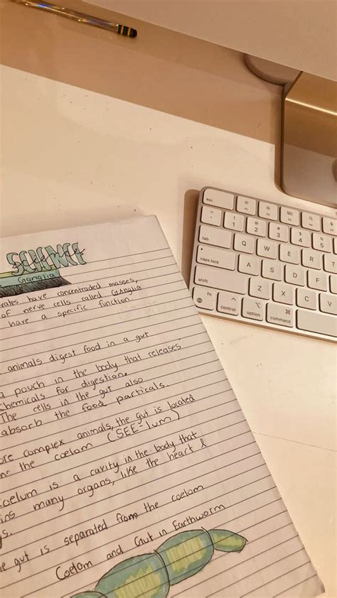 aesthetic notebook ideas  templates