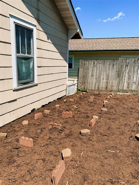 Building Our 2020 East Tennessee Spring Garden | Plants, Progress, and ...