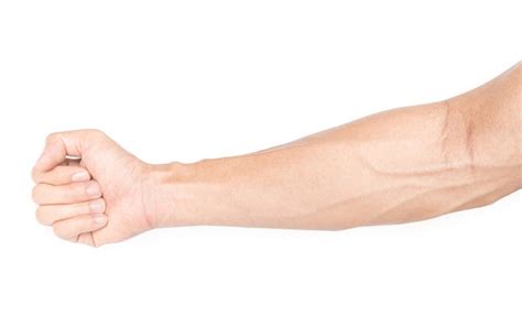 The Importance of Forearm Strength and How to Build It - Scientific ...