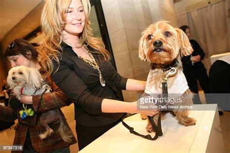 Renee Ryan Photos and Premium High Res Pictures - Getty Images