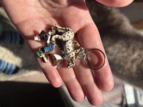 Margaritaville At Sea Islander Fans | This might be a long shot but my