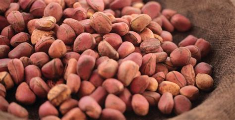 KOLA NUTS – FACANDOO INDUSTRIES – WEST AFRICA LIMITED