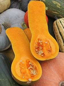 Тыква Фиголистная (Cucurbita Ficifolia)