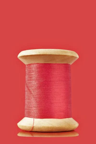 spool  thread stock  royalty  spool  thread images