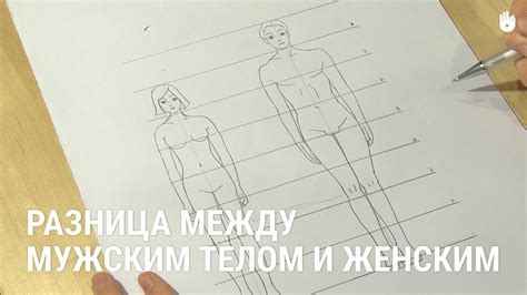 Разница между мужским телом и женским - YouTube
