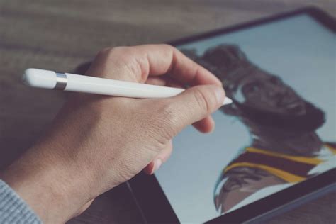 Procreate vs. Sketchbook: An Honest Review