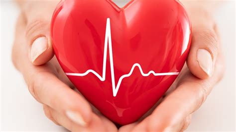 Here's How You Can and Should Calculate Your Heart Rate - Bharat Times