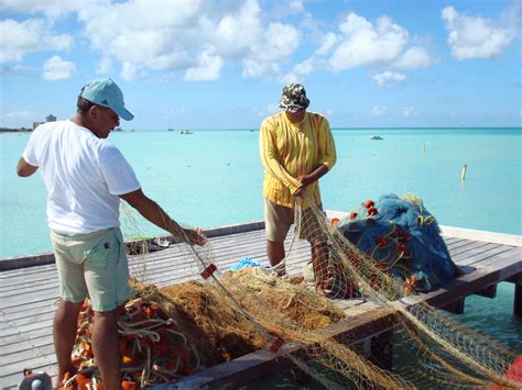 The Best Guide to Fishing in Aruba