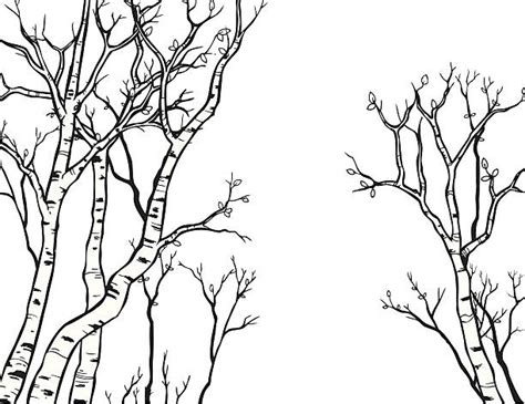 aspen tree clipart 19 free Cliparts | Download images on Clipground 2025