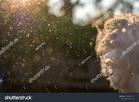 dusty air images stock  vectors shutterstock