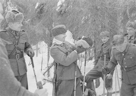 Финские военнослужащие рассматривают медвежат, найденных в берлоге [2 ...