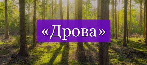 «Дрова» проверочное слово
