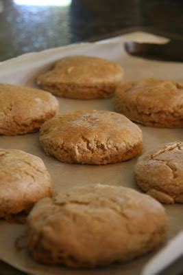 Baking Powder Biscuits