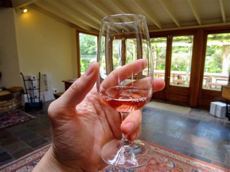 Vína z Nového Zélandu: Ochutnávka v Coopers Creek Vineyard