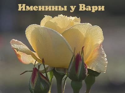 Картинки Именины Варвары (18 фото) 🔥 BipBap.ru