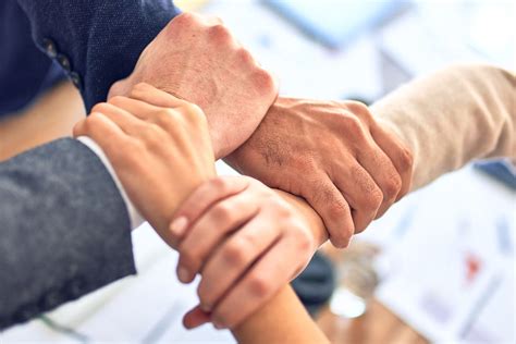 committees chinese medicine hospital hkbu