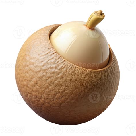 3D Render of a Seed Pod 53810821 PNG