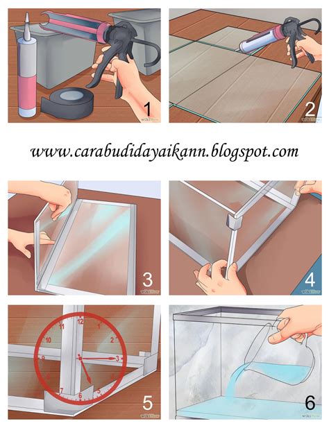 cara membuat filter aquarium agar air tetap jernih 1
