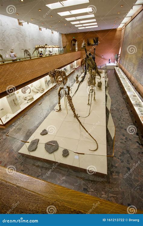 Visitors To The Palentology Museum Look At Dinosaur Skeletons Editorial ...