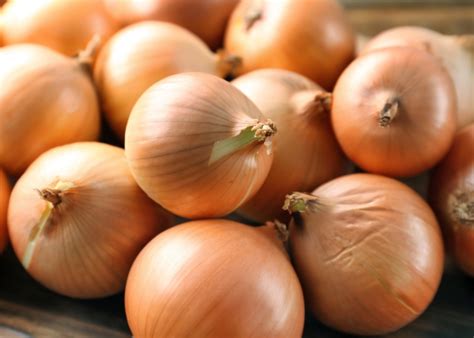 A Cebola É Um Legume - Cebola é legume ou verdura? - Marmitex de Sucesso