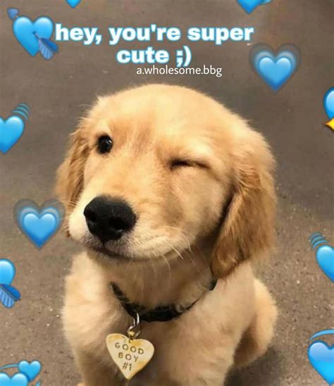 I Love You Meme
