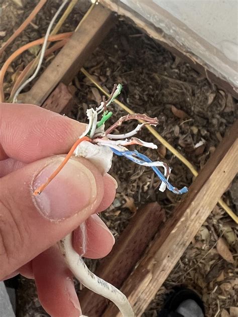 Cat 5 Wiring Help : r/HomeNetworking