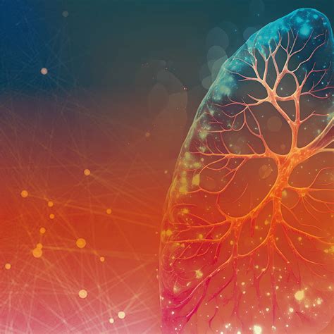 Journal Of Imaging Informatics In Medicine - Society for Imaging ...
