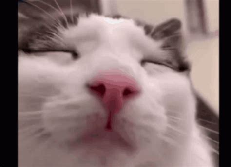 Blink Blink GIF - Blink Blink - Discover & Share GIFs