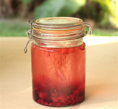 Homemade DIY Cordial – Lynnie Stein