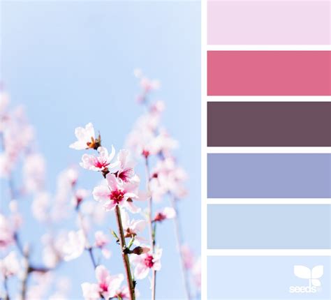 15+ Most Wonderful Spring Color Palette Collections For Home More ...