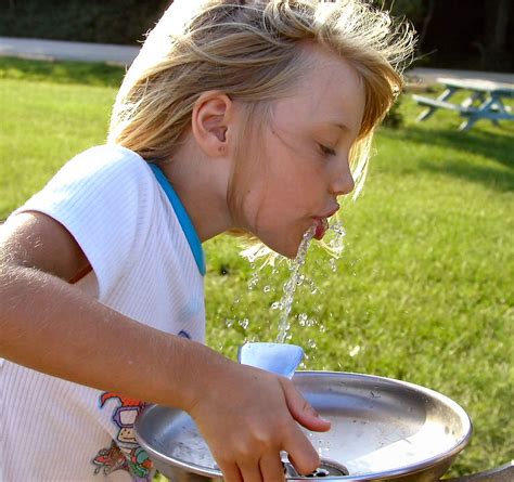 Slurp Free Photo Download | FreeImages