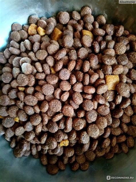 Корм для собак Авва Natural Ingredients сухой для щенков крупных пород ...