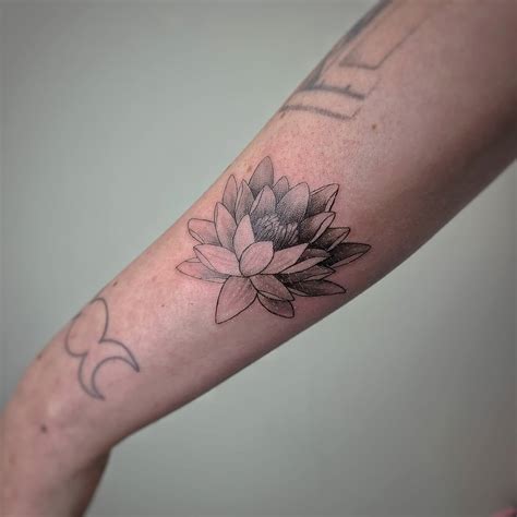 fine  lily tattoo bronctattooauscom