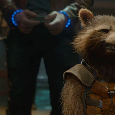 There Are More Great Pop-Culture Raccoon Performances Than You Think